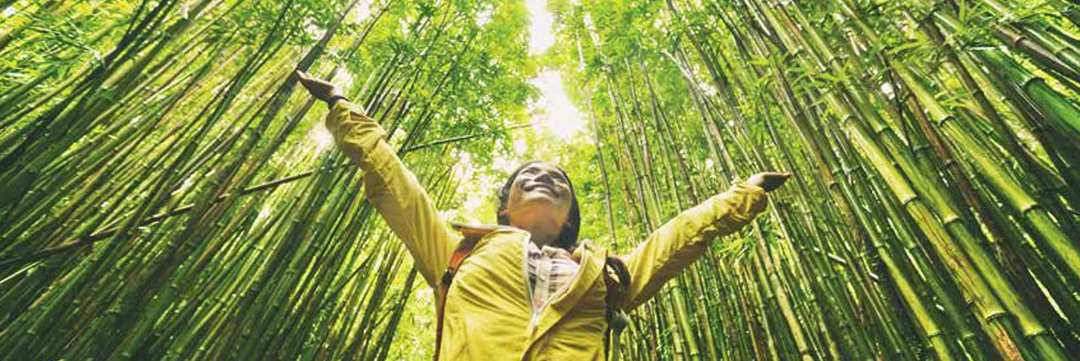Student celebrating in a bamboo forest, representing scholarship support and future success.